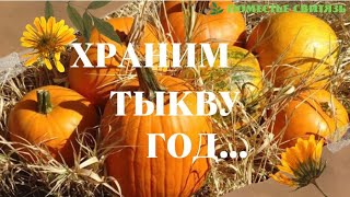 КАК СОХРАНИТЬ ТЫКВЫ И КАБАЧКИ ДО СЛЕДУЮЩЕГО УРОЖАЯ. # хранение_тыкв