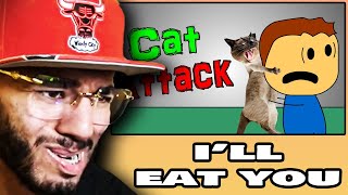 Brewstew - Cat Attack - reaction