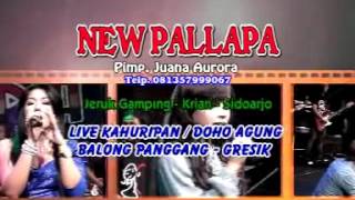 New pallapa live dohoagung 2012