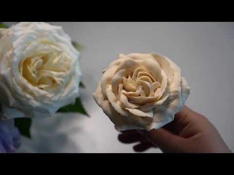 앙금플라워 백장미 White Rose flower piping technique