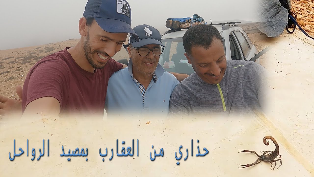 Pêche a Rwahel sud ifni - حذاري من العقارب بمصيد الرواحل