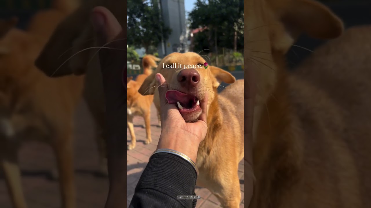 Only loyal eyes in tha world 🤌