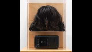 Radical Software – Lynn Hershman Leeson