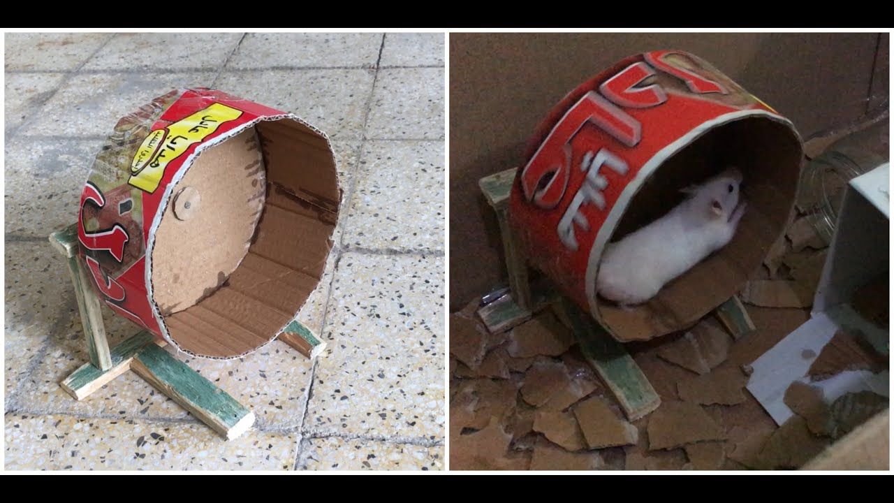 طريقة صناعة العجلة الدوارة للهامستر ب ابسط الادوات . how to make