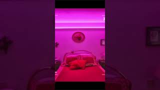 ✨ СВЕТОВЫЕ ЛАГЕРЯ: ПРИКРОВАТНЫЙ ЧАРОДЕЙ 🛏️💡