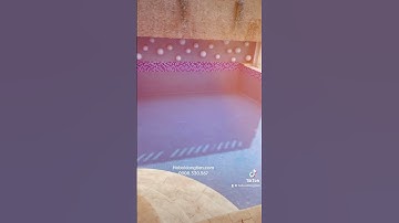 Quy trình xử lý hồ bơi bị rong rêu.