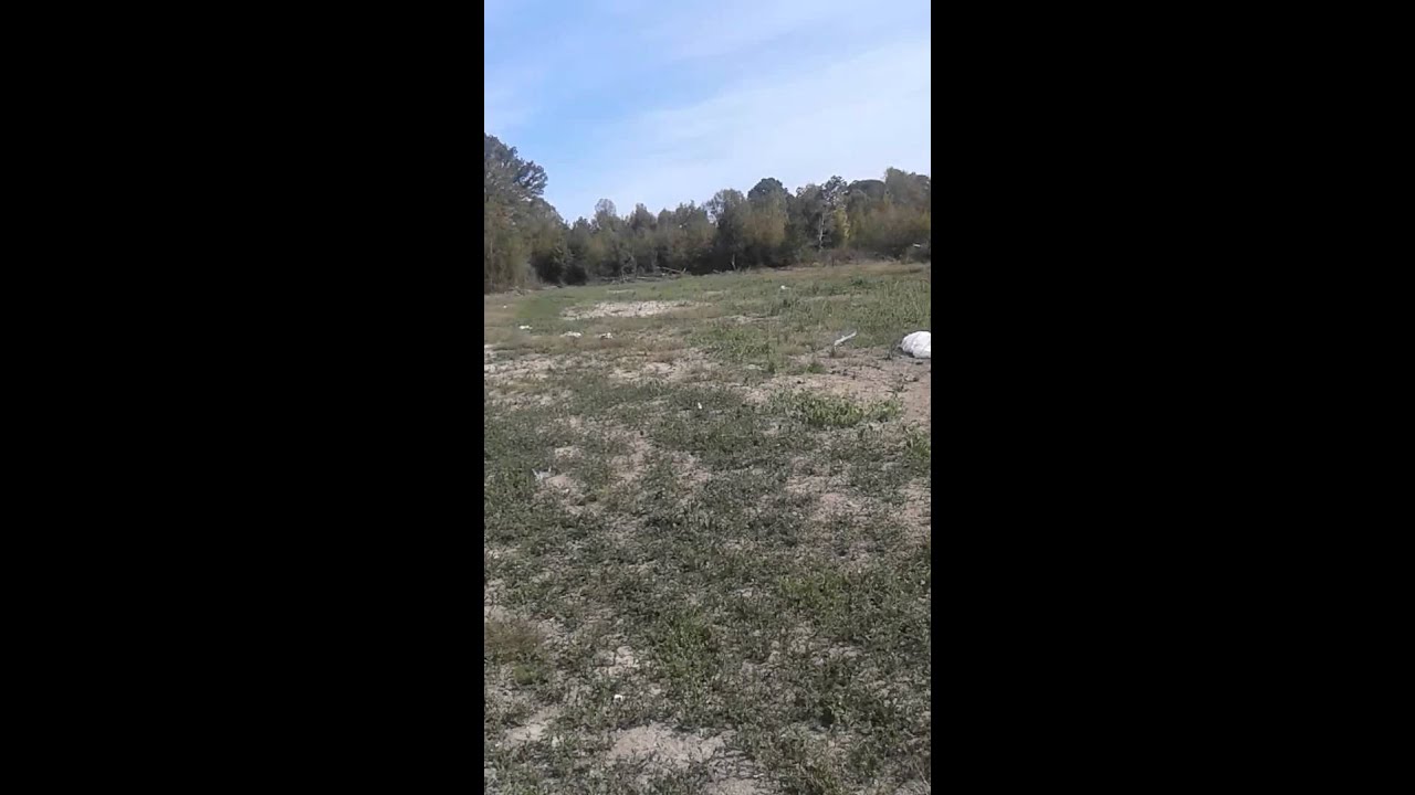 In Demopolis Alabama(14)