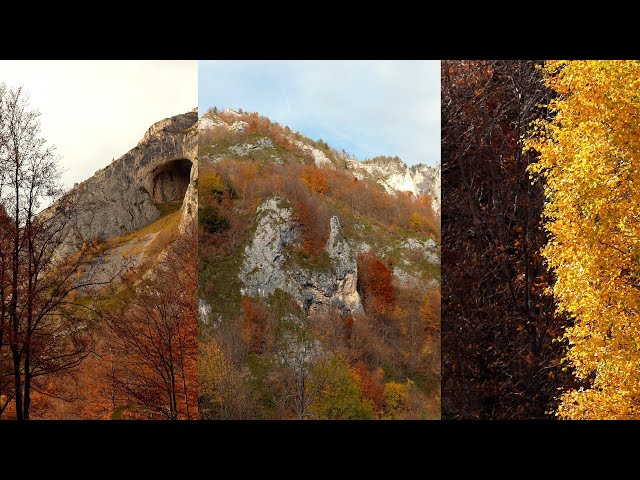Traseu de toamnă în Munții Apuseni: Secvențe filmate pe Circuitul Scărița-Belioara