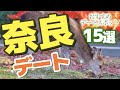 【奈良】奈良でカップルと行きたいおでかけデートスポット15選
