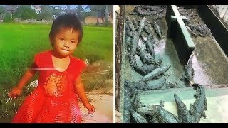 Girl Eaten Alive By Crocs Cctv English