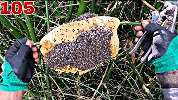 Mật ong ruồi có nên bỏ vào tủ lạnh để bảo quản !!