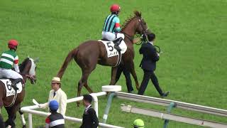 クロワデュノール　メイクデビュー〜日本ダービー 全５戦　現地購入記念馬券 クロワデュノール メイクデビュー〜日本ダービー 全5戦 現地