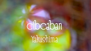 【HD】Cibcaban in Yakushima∞2014.8/18 Open