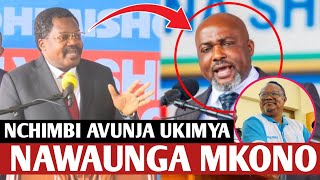 Finally!!! VICE PRESIDENT NCHIMBI BREAKS SILENCE AND JOINS OPPOSITION IN ELECTION KILLING SAGA