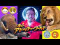 夜のアドベンチャーワールドでどうぶつさんとお友達!ヒゲパパが「バスガイド??」Zoo Aquarium Panda Adventure World