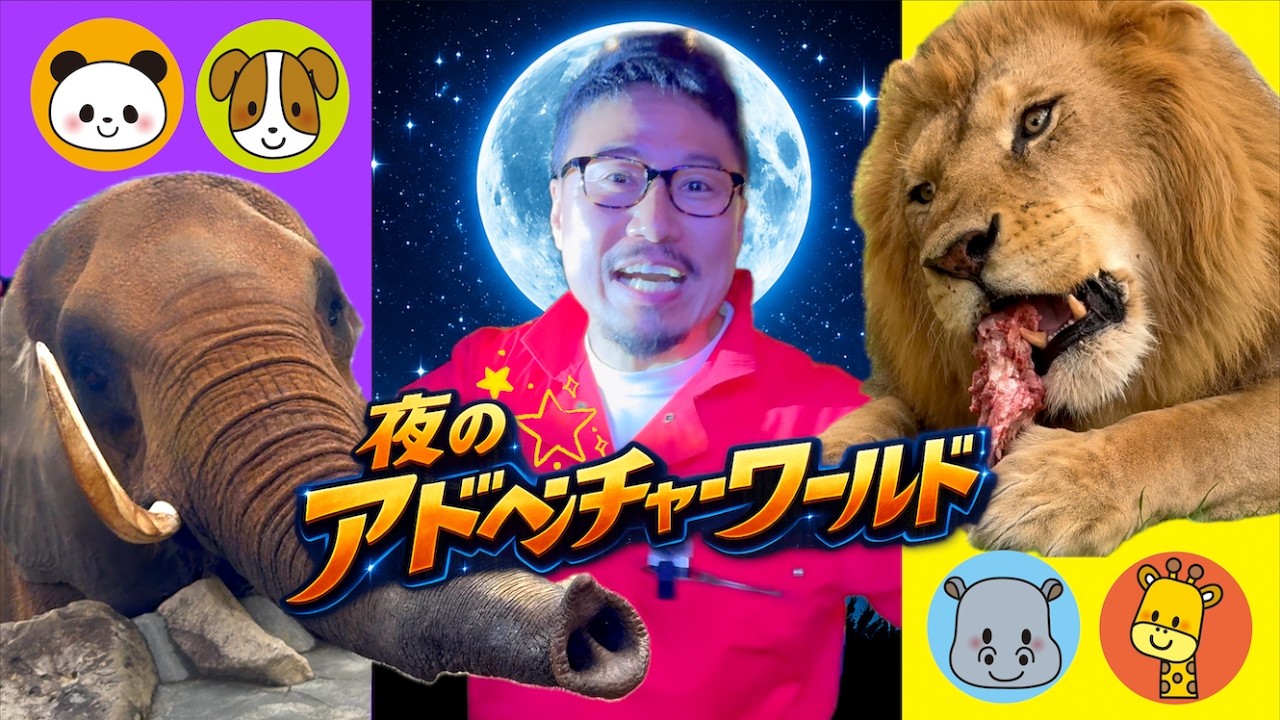 夜のアドベンチャーワールドでどうぶつさんとお友達!ヒゲパパが「バスガイド??」Zoo Aquarium Panda Adventure World