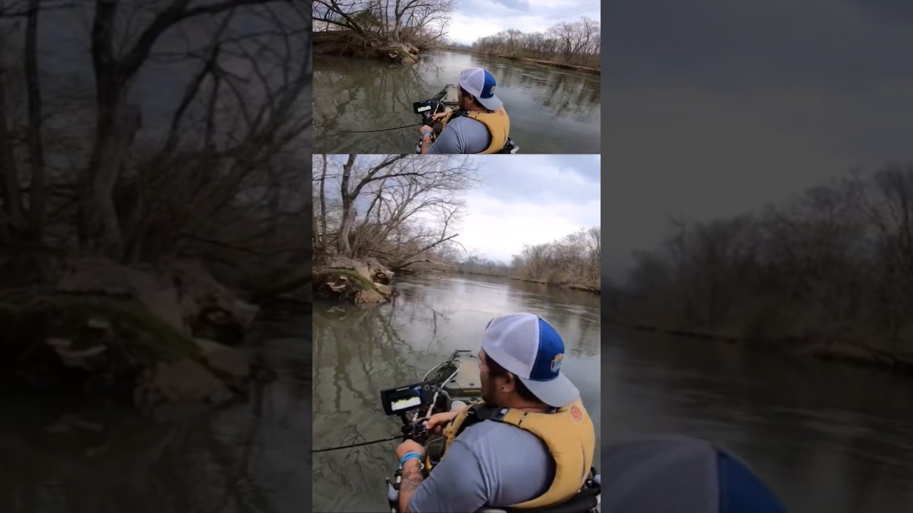 Этот окунь сидел в идеальном месте для засады!!