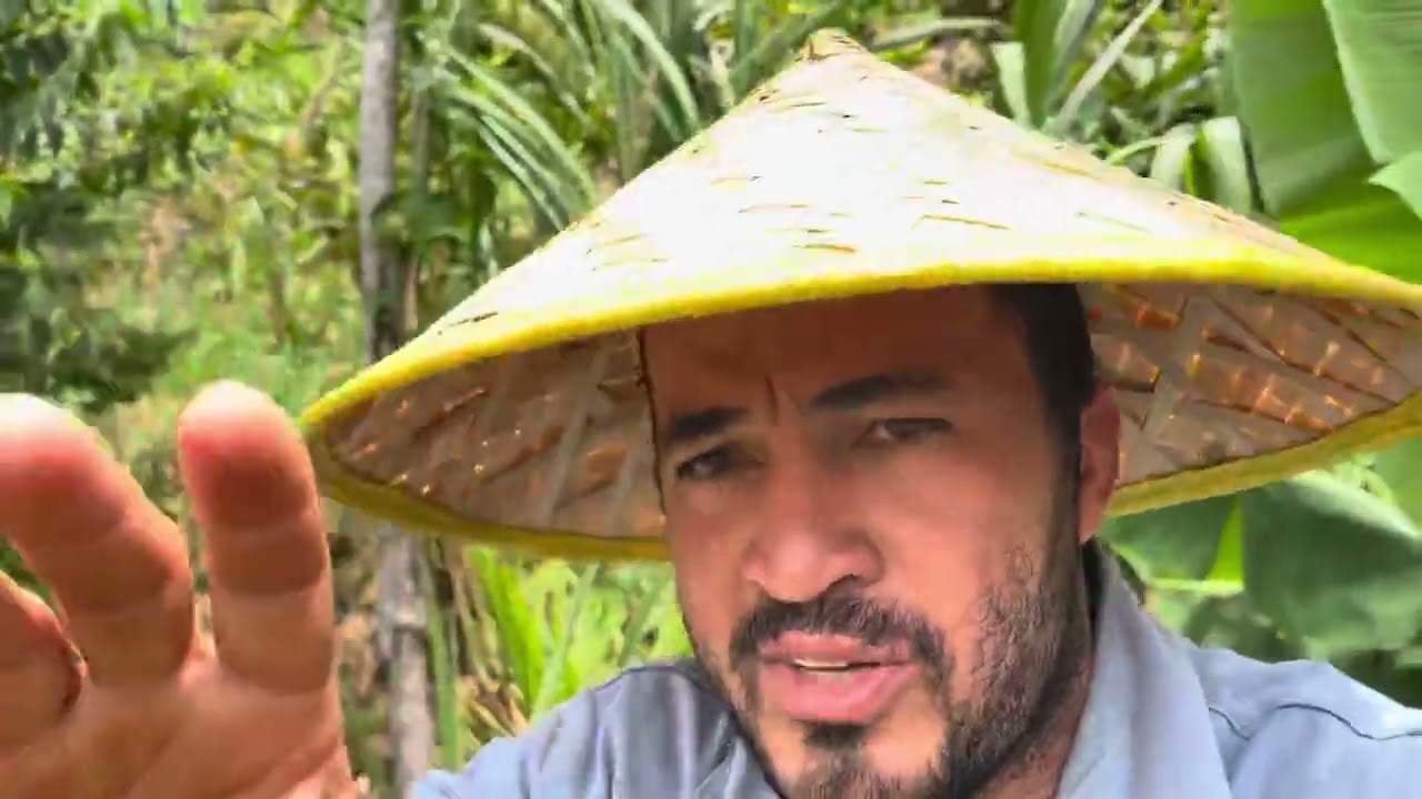 AZARENO MANDA ZÉ BUCHADA DA A O BURRO 