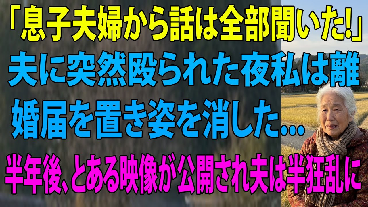 「息子夫婦から話は全て聞いたぞ！」突然夫に怒鳴られ殴られた私。その夜、私は離婚届を置き黙って姿を消した→3ヶ月後、とある映像が公開され夫は全てを失った【シニアライフ】【60代以上の方へ】