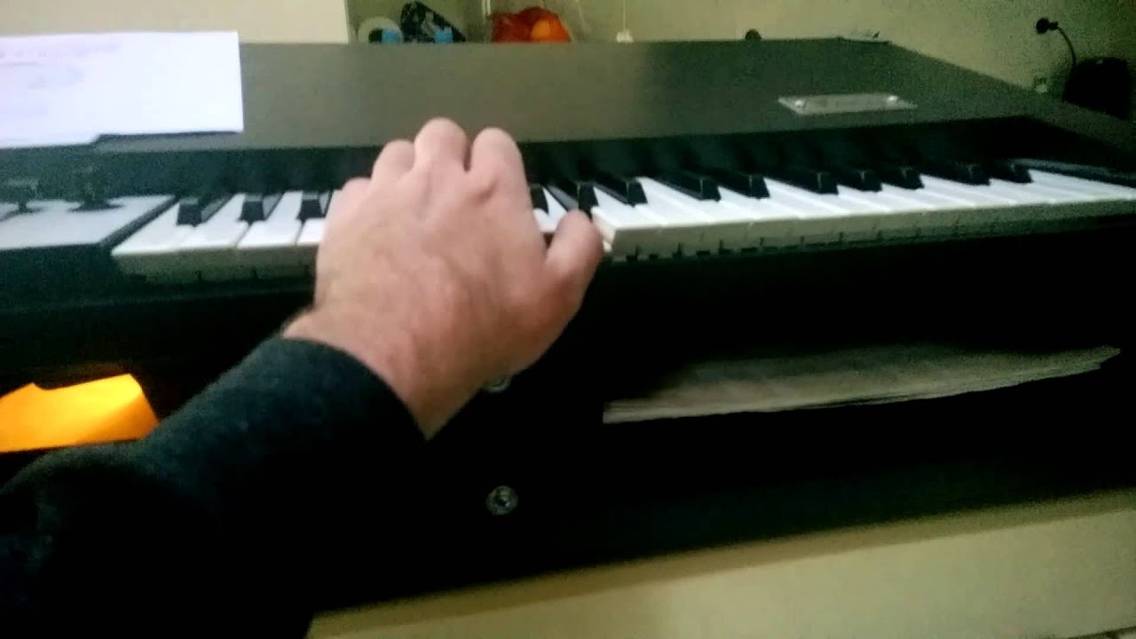 Piano Optigan Minimoog Mellotron Orchestron ARP String Synth.