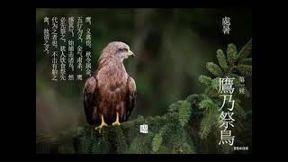 處暑 處暑禾豐稻穗飄 #處暑 #二十四節氣 #happy #翻唱 #ai #抖音 #cute #goodmorning #抖音 #anime #正能量 #可愛い #waterfall #happy 處暑 處暑禾豐稻穗飄 #處暑 #二十四節氣 #happy #翻唱 #ai #抖音 #cute #goodmorning #抖音 #anime #正能量 #可愛い #waterfall #happy