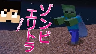 【カズクラ】どうなるの？ゾンビエリトラできました。マイクラ実況 PART808