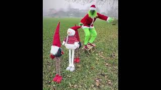 Der Grinch Fährt Schlitten