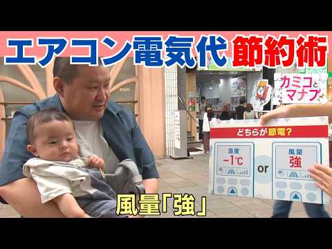 遮阳树で家の温度を下げる！プロが教えるおすすめ7选