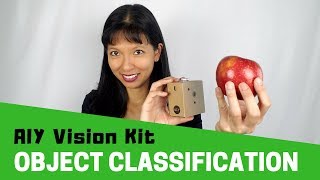 AIY Vision Kit - Image Classification Tutorial