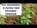 463. Что положить в лунку при посадке томатов, как сажать.