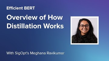 Efficient BERT: How Distillation Works