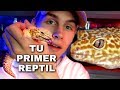 👈 Quieres Un Reptil Como Mascota? (VEA ESTO) | Mejores Reptiles Para Principiantes 🐍 | Tomas Pasie