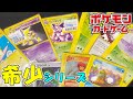 ポケカ】ついにあの希少シリーズを購入！【VS-e-Web】 - YouTube
