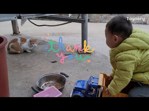 고양이 키우기 농장체험 꼬마집사 브루더 덤프트럭 로더 불도저  heavy equipment truck Bruder dump truck bulldozer 소농장