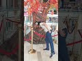 #lucknow Lulu Mall Talking tree 🤯