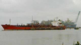 P53