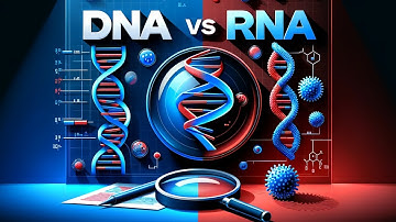 Virus Unveiled: DNA vs RNA Secrets