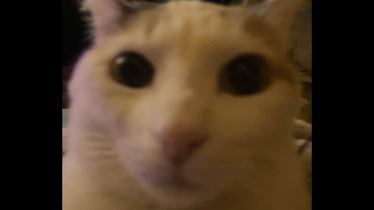 Rec Room Stream at an unreasonable time yayyyy