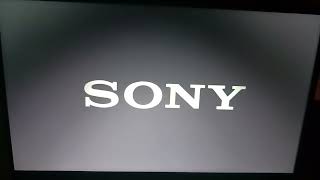 Opening Logos - Guys VS Zombies 3 (DVS)