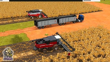 FS18, Farming Simulator 18 Wheat Cutting & Loading to Trailer | Timelapse #skullgaming