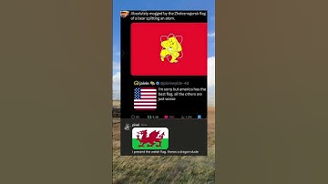 De Welshe vlag is waanzinnig gaaf 🐉 #vlaggen #geschiedenis