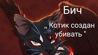 Коты воители (бич) ~ ,, Котик создан убивать\