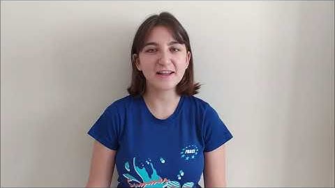 2020 I. N. Cocan, C. Munar, Implementation of Parallel Branch and Bound Algorithm for Optimization