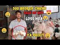 500 broiler sale kr dey finally kitna profit hoa  small scale broiler farming at home 