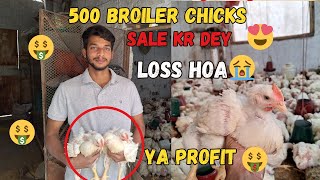 500 Broiler Sale Kr Dey Finally Kitna Profit Hoa❤ | Small Scale Broiler Farming at home