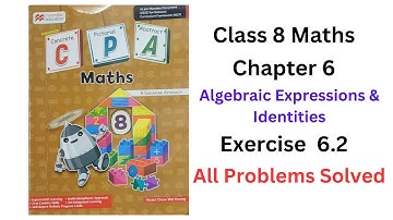 MacMillan Maths Class 8 Chapter 6 Algebraic Expressions and Identities Ex 6.2 - All Problems Solved