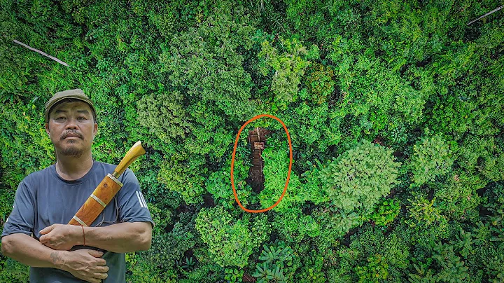 100 Days Alone in the Rainforest \ From Start to Finish