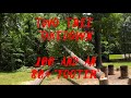 Cutting Down Two Large Trees In My Backyard