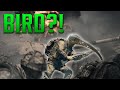 Battlefield 6 (Bird Edition)