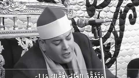 وتفقد الطير ...من سورة النمل..محمود القزاز .فخر محافظة البحيرة